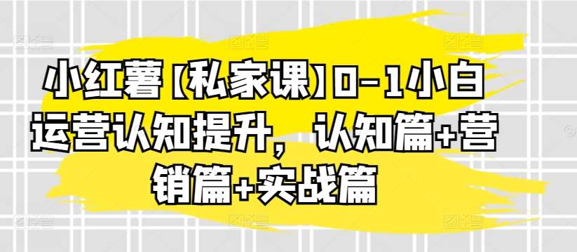 小红薯【私家课】0-1小白运营认知提升，认知篇+营销篇+实战篇-知创网