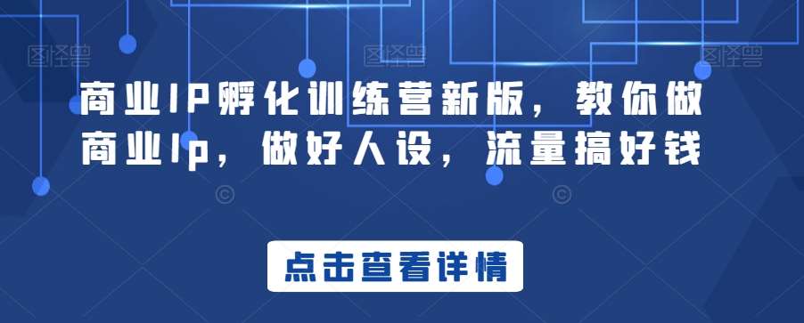 商业IP孵化训练营新版，教你做商业Ip，做好人设，流量搞好钱-知创网
