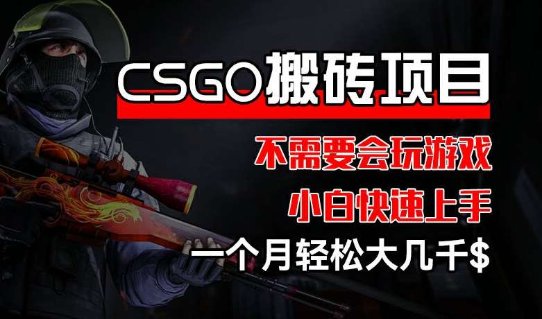 CSGO 装备搬砖项目，操作简单，不需要会玩游戏，小白也能快速上手，一个月轻松大几千【揭秘】-知创网