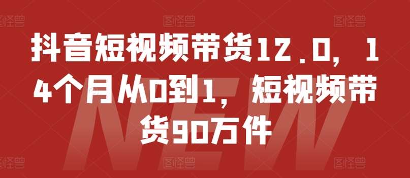 抖音短视频带货12.0,14个月从0到1,短视频带货90万件-知创网