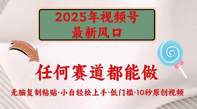 （14453期）2025年视频号新风口，低门槛只需要无脑执行-知创网