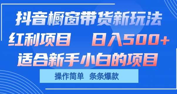 抖音橱窗带货新玩法，单日收益几张，操作简单，条条爆款【揭秘】-知创网