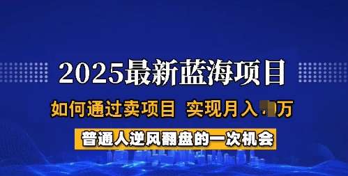 2025蓝海项目，普通人如何通过卖项目，实现月入过W，全过程【揭秘】-知创网