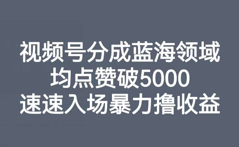 视频号分成蓝海领域，均点赞破5000，速速入场暴力撸收益-知创网