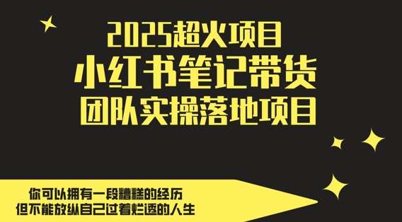 2025超火项目，副业最佳选择，小红书笔记带货团队实操落地项目，，轻松日入5张-知创网