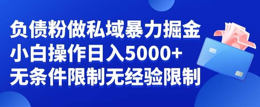 负债粉私域暴力掘金,小白操作入5000,无经验限制,无条件限制【揭秘】-知创网