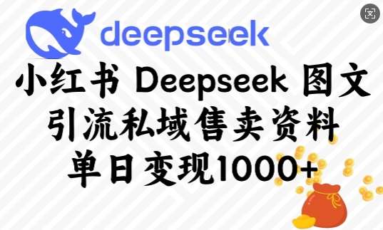小红书Deepseek图文引流私域售卖资料,单日变现多张-知创网