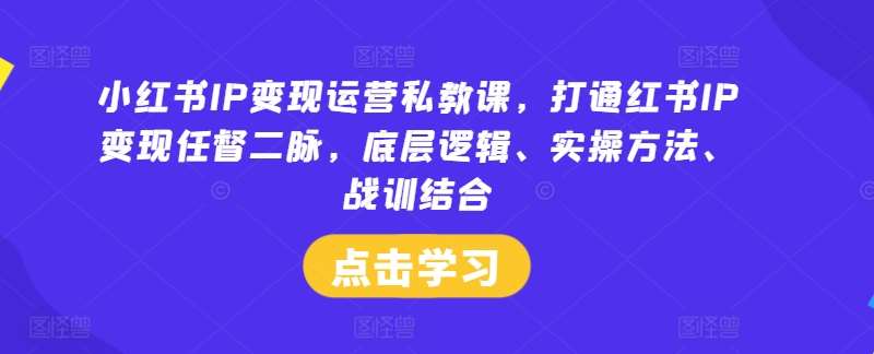小红书IP变现运营私教课，打通红书IP变现任督二脉，底层逻辑、实操方法、战训结合-知创网