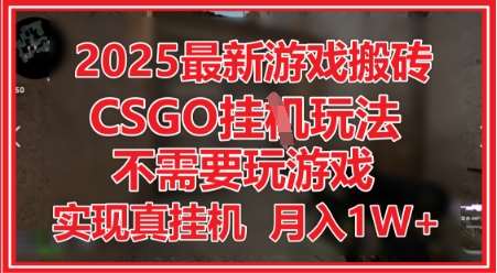 2025最新游戏搬砖，CSGO挂G，不需要玩游戏，实现真挂G，月入1W+【揭秘】-知创网