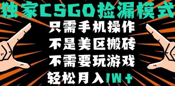CSGO自动捡漏项目，最新独家玩法，不是美区搬砖，不需要了解和玩游戏，新手小白轻松月入1W+【揭秘】-知创网