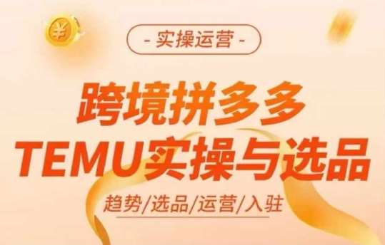 跨境拼多多TEMU实操与选品，多多temu跨境选品运营实操-知创网