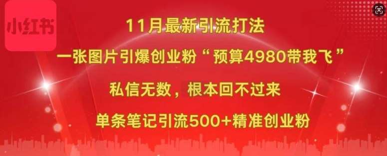 小红书11月最新图片打粉，一张图片引爆创业粉，“预算4980带我飞”，单条引流500+精准创业粉-知创网