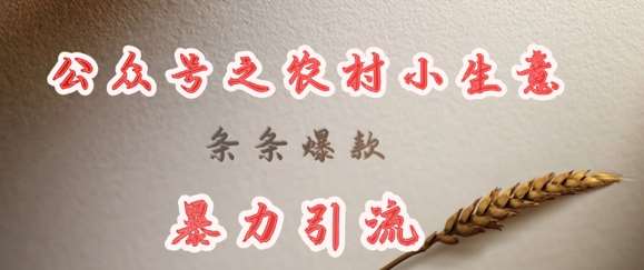 deepseek写农村小项目，条条爆款，暴力引流-知创网