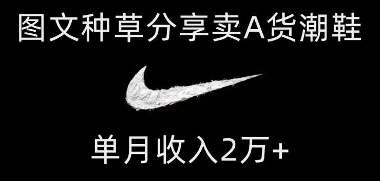 靠图文种草分享卖A货潮鞋，每天一小时，单月收入2万+【揭秘】-知创网