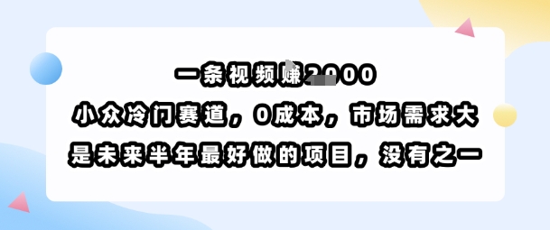 一条视频挣1k，小众冷门赛道，0成本，市场需求大，是未来半年最好做的项目，没有之一-知创网