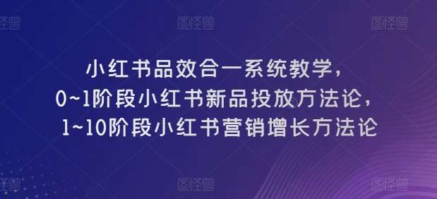 小红书品效合一系统教学，​0~1阶段小红书新品投放方法论，​1~10阶段小红书营销增长方法论-知创网