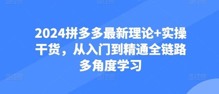 2024拼多多最新理论+实操干货，从入门到精通全链路多角度学习-知创网