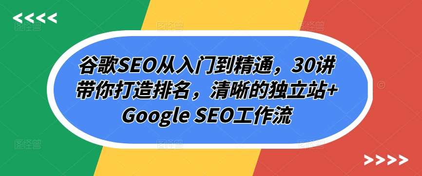 谷歌SEO从入门到精通，30讲带你打造排名，清晰的独立站+Google SEO工作流-知创网
