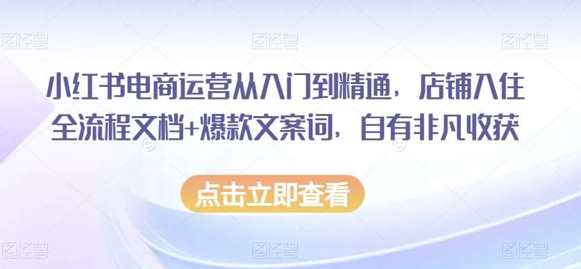 小红书电商运营从入门到精通，店铺入住全流程文档+爆款文案词，自有非凡收获-知创网