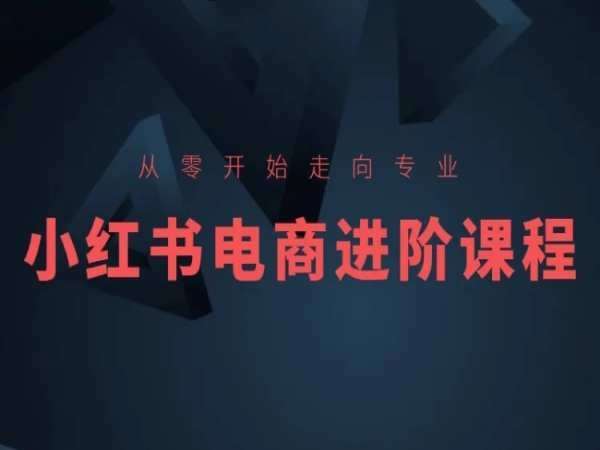 从零开始走向专业，小红书电商进阶课程-知创网