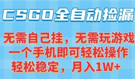 CSGO自动捡漏项目，最新独家玩法，一个手机可操作，新手小白轻松月入1W+，操作简单易上手【揭秘】-知创网