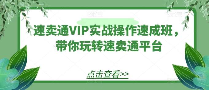 速卖通VIP实战操作速成班，带你玩转速卖通平台-知创网