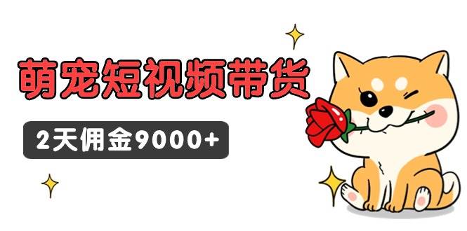 （9273期）东哲日记·萌宠短视频带货，2天佣金9000+-知创网