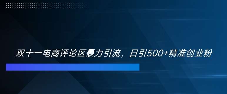 双十一电商评论区暴力引流，日引500+精准创业粉【揭秘】-知创网