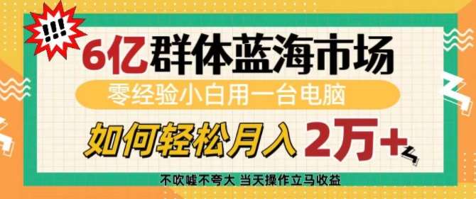 6亿群体蓝海市场，零经验小白用一台电脑，如何轻松月入过w【揭秘】-知创网