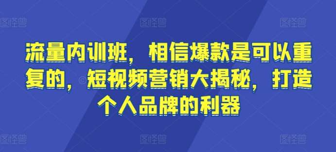 流量内训班，相信爆款是可以重复的，短视频营销大揭秘，打造个人品牌的利器-知创网