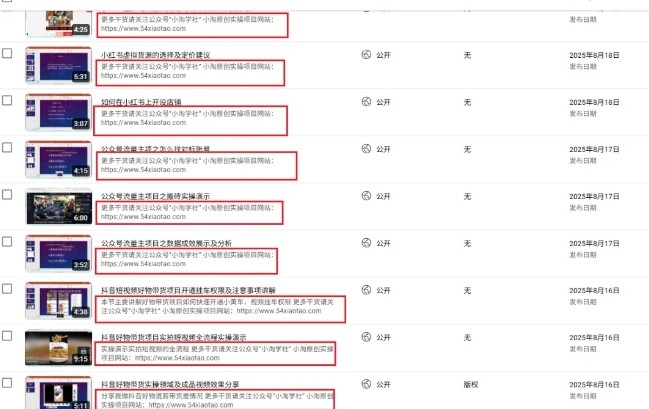 图片[2]-2025油管引流术，分享我是如何通过油管做引流的-知创网