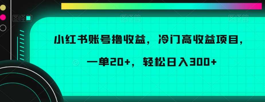 小红书账号撸收益,冷门高收益项目,一单20+,轻松日入300+【揭秘】-知创网