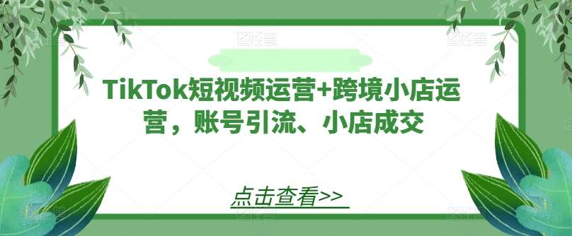 TikTok短视频运营+跨境小店运营，账号引流、小店成交-知创网