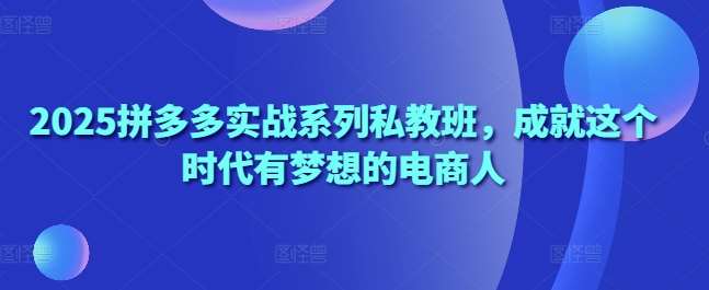 2025拼多多实战系列私教班，成就这个时代有梦想的电商人-知创网
