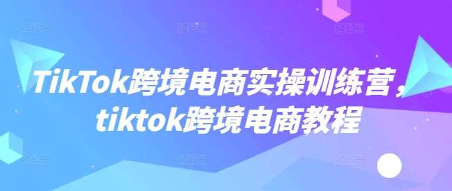 TikTok跨境电商实操训练营，tiktok跨境电商教程-知创网