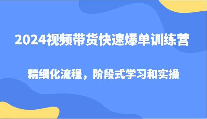 2024视频带货快速爆单训练营，精细化流程，阶段式学习和实操-知创网