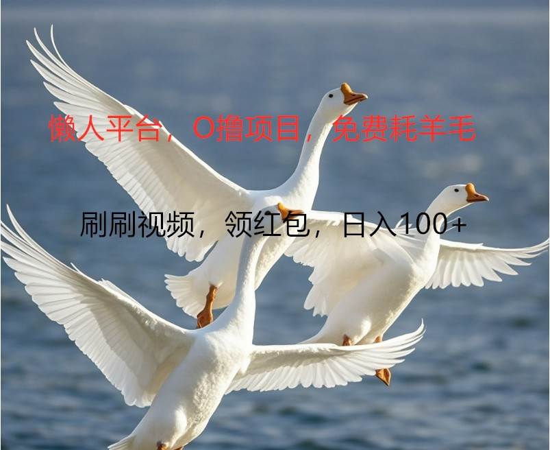 O撸懒人平台，全新手机广告不推广单机100+，刷刷就有捡钱一样， 简单无脑稳定-知创网