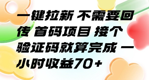 一键拉新 不需要回传 首码项目 接个验证码就算完成 一小时收益70+【揭秘】-知创网