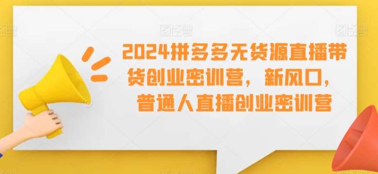 2024拼多多无货源直播带货创业密训营，新风口，普通人直播创业密训营-知创网