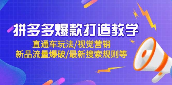 （14681期）拼多多爆款打造教学：直通车玩法/视觉营销/新品流量爆破/最新搜索规则等-知创网
