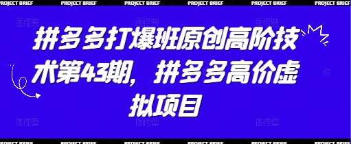 拼多多打爆班原创高阶技术第43期，拼多多高价虚拟项目-知创网