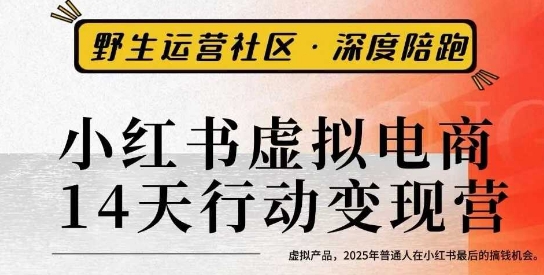 小红书虚拟电商14天变现训练营3.0，​虚拟产品，2025年普通人在小红书最后的搞钱机会-知创网