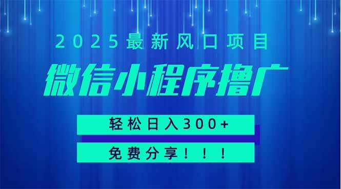 （14375期）微信小程序撸广，最新风口项目，日入300+ 免费分享 可批量操作 小白可…-知创网