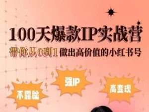 小红书100天爆款IP实战营，带你从0到1做出高价值的小红书号-知创网