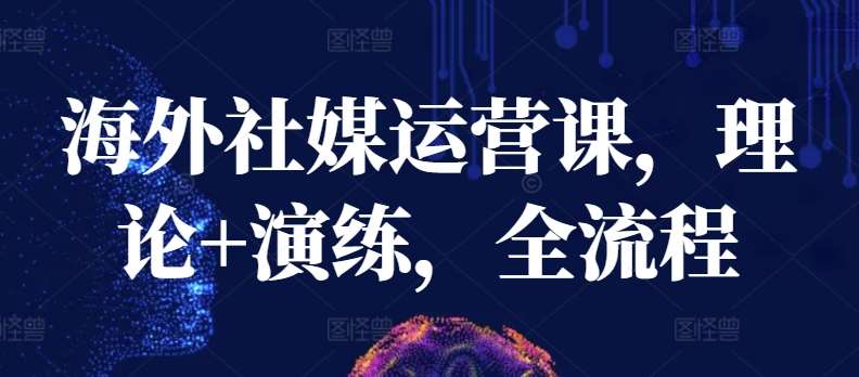 海外社媒运营课,理论+演练,全流程-知创网