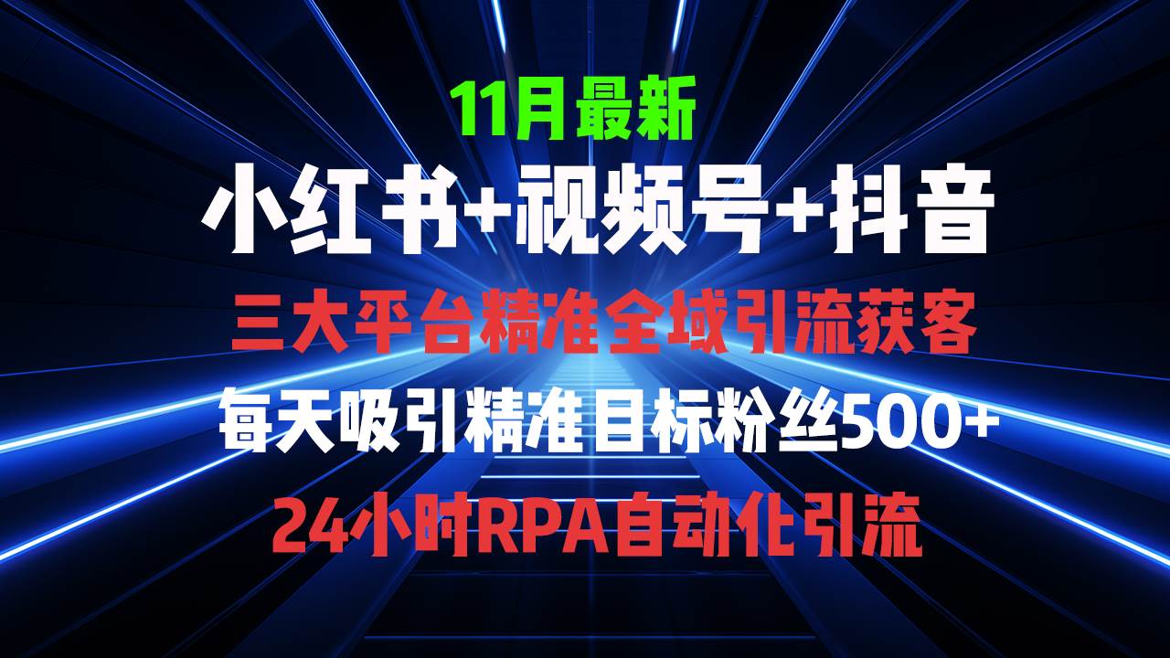 （13259期）全域多平台引流私域打法，小红书，视频号，抖音全自动获客，截流自…-知创网