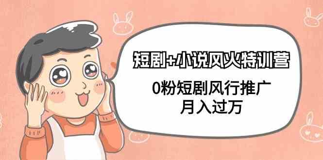 小说+短剧风火特训营，0粉短剧小说风行推广，实现月入过万-知创网