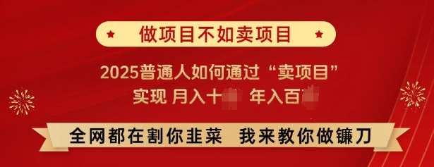 必看，做项目不如卖项目，2025普通人如何通过“卖项目”实现月入十个，年入百个-知创网