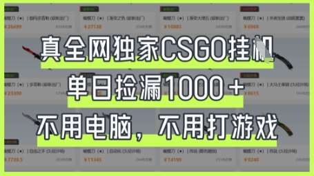 真全网独家CSGO挂G，单日捡漏1k+【揭秘】-知创网