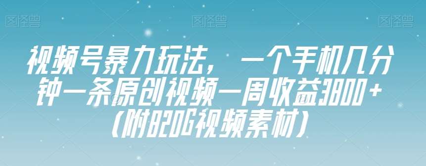 视频号暴力玩法,一个手机几分钟一条原创视频一周收益3800+(附820G视频素材)-知创网